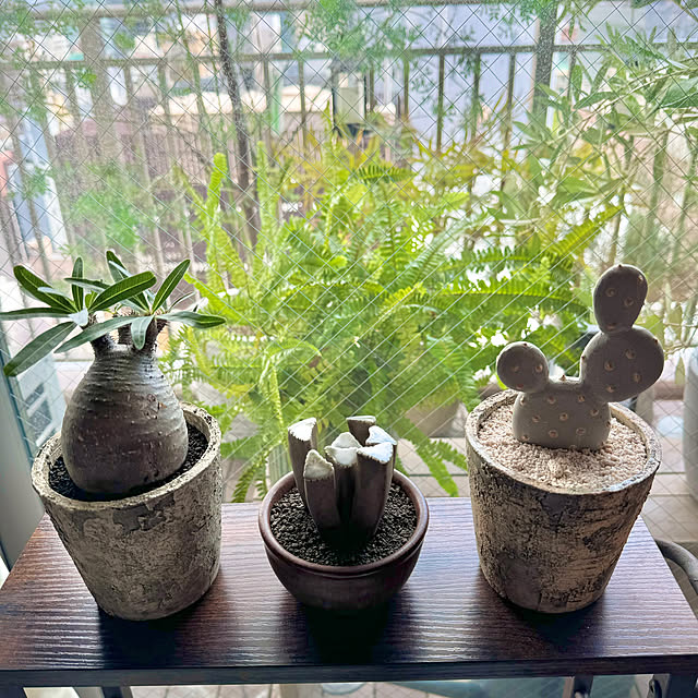 mochi2usagiさんの部屋