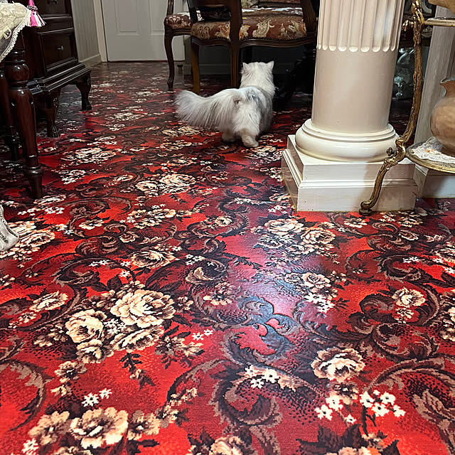 AYUKOさんの部屋