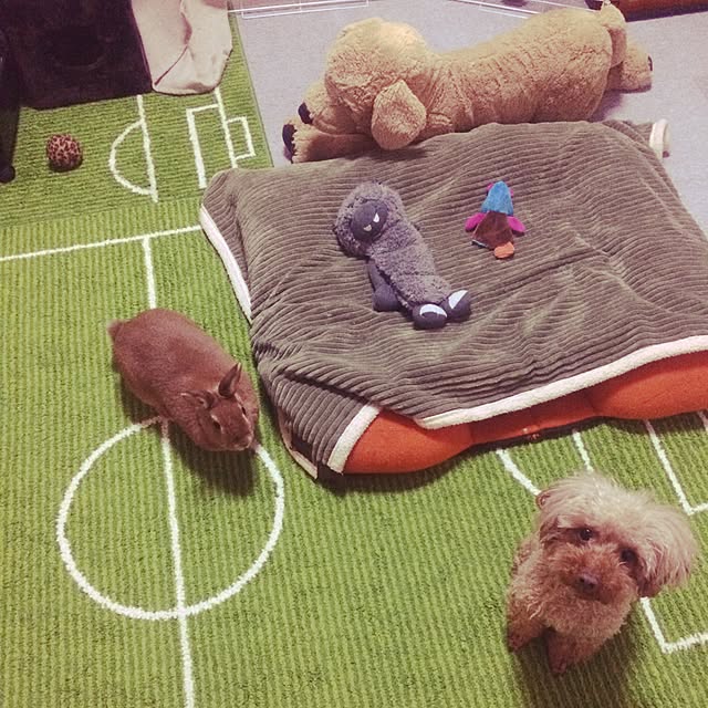 MI-Lさんの実例写真
