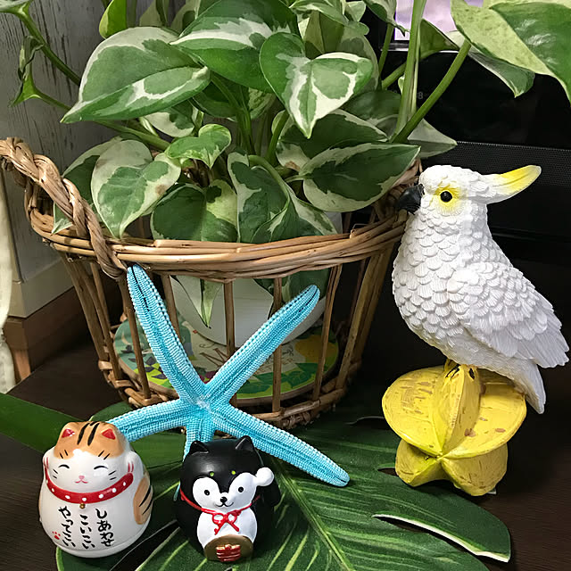 kurochanさんの実例写真