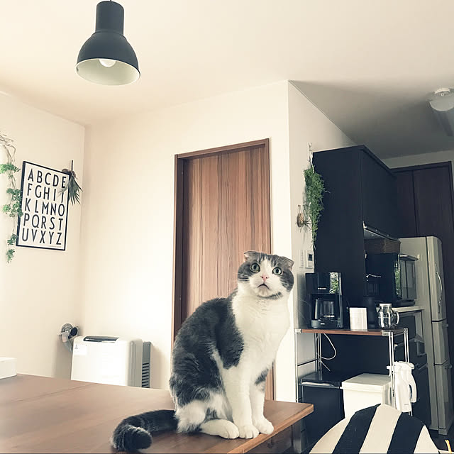 tansukeさんの実例写真