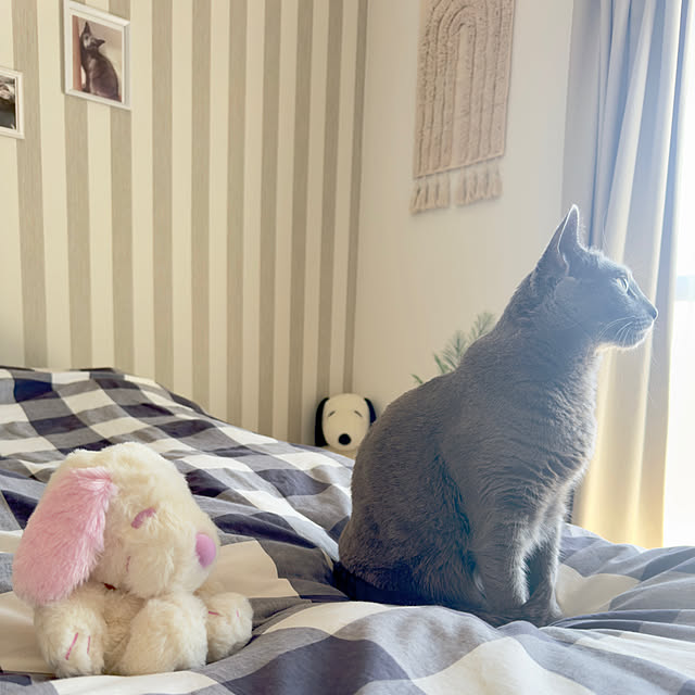 snoopyさんの部屋