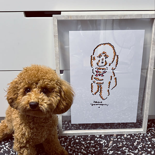 poohさんの部屋