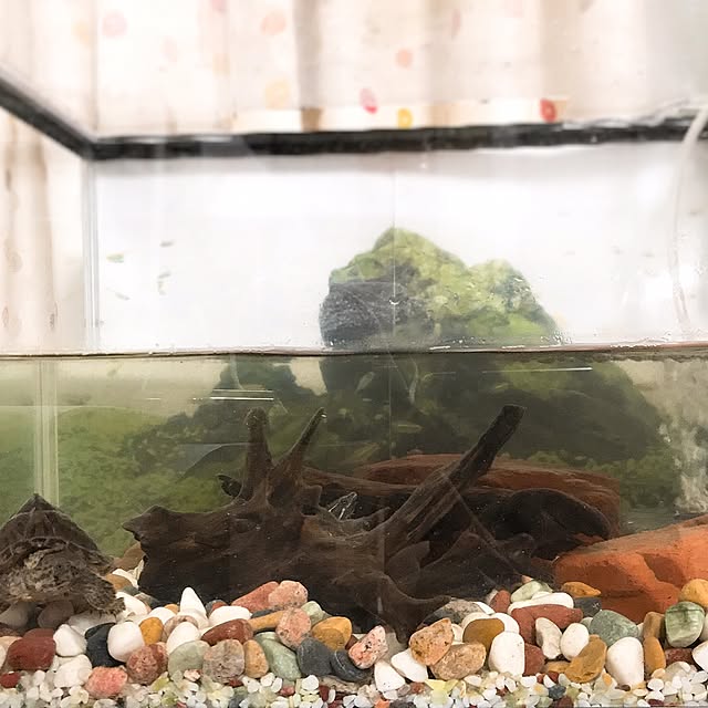 7さんの実例写真
