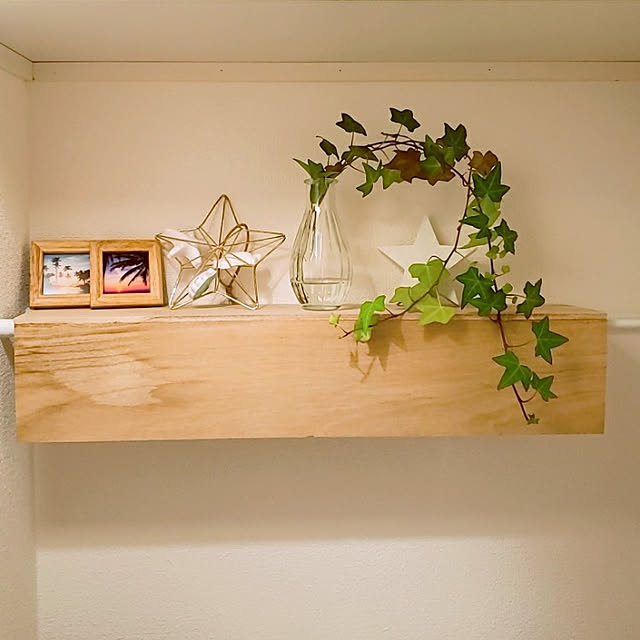 バス/トイレ/一人暮らし/観葉植物/ダイソー/100均...などのインテリア実例 - 2021-04-14 00:11:47