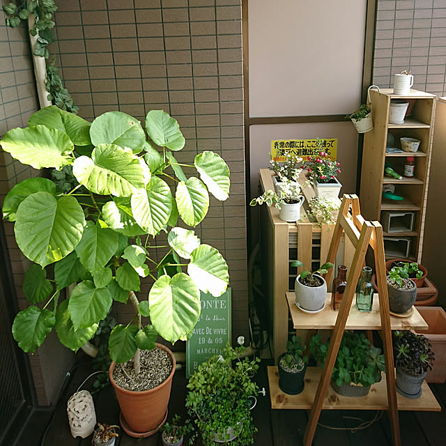 gonntaさんの実例写真
