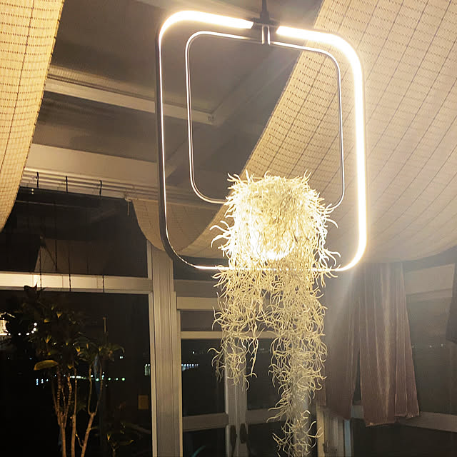 uninekoさんの実例写真