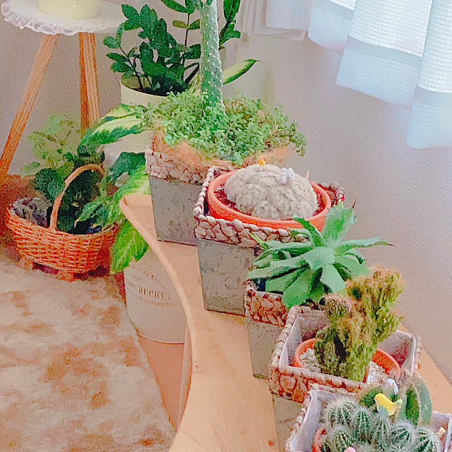 Hanakaさんの部屋