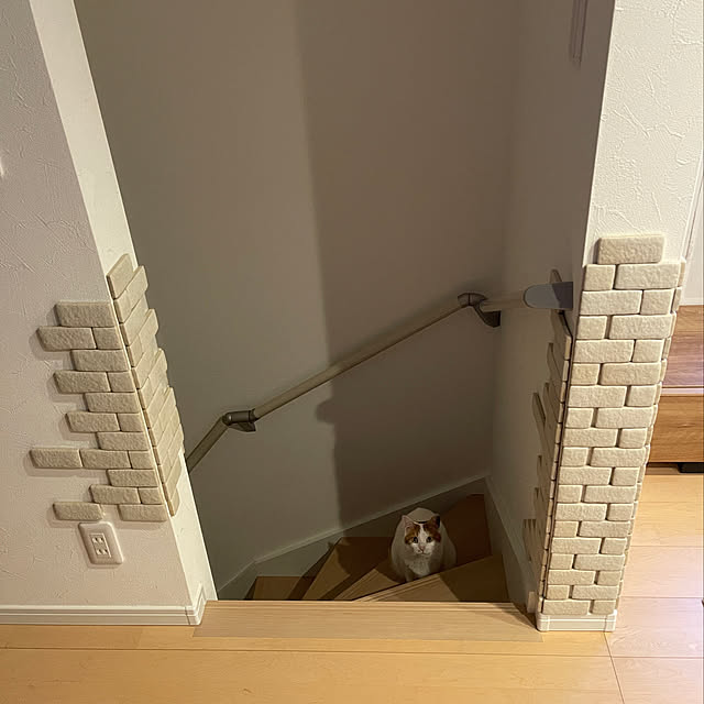 Malinさんの実例写真