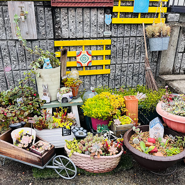 jijiさんの実例写真