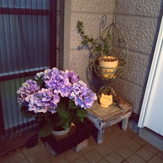 koyutan-mjmさんの部屋