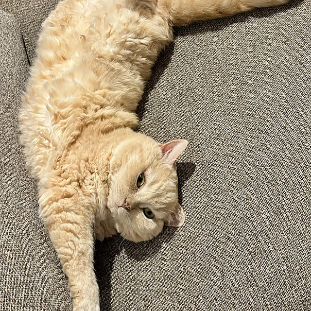 naokoさんの部屋