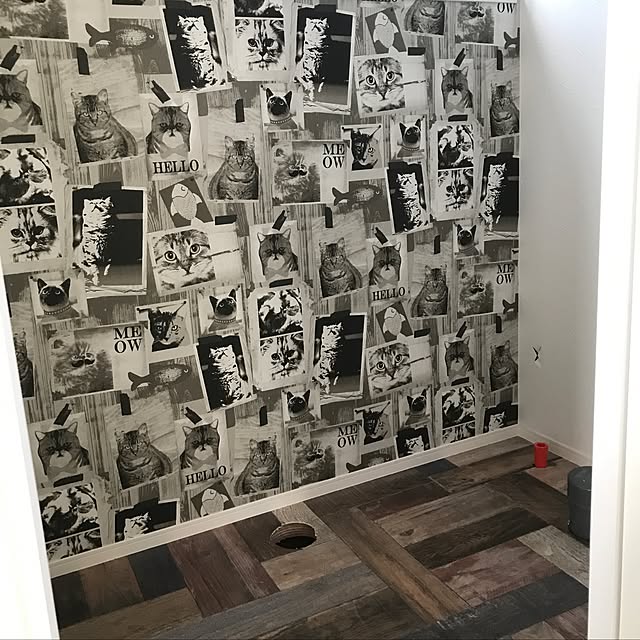 milkpoolさんの実例写真