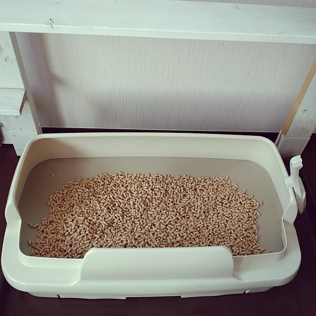 lelielさんの部屋