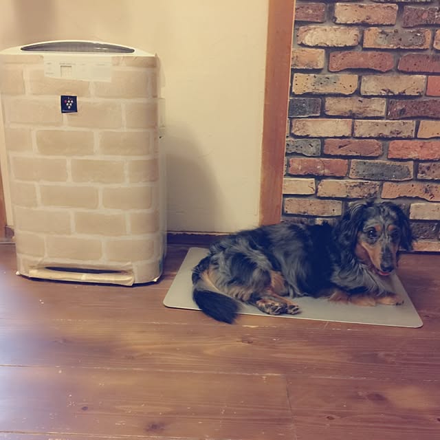 nonpiiiさんの実例写真