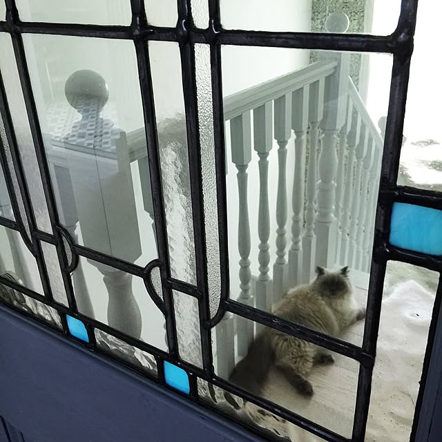 yuchiさんの実例写真