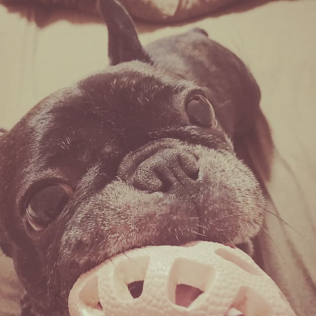 pinokoさんの実例写真
