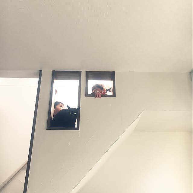 cocco0505さんの実例写真