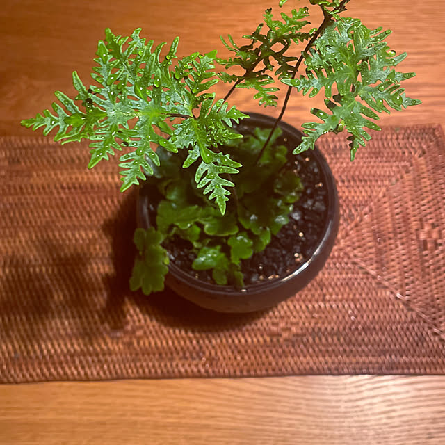 marucoさんの部屋