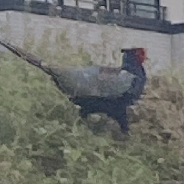 Rieさんの実例写真