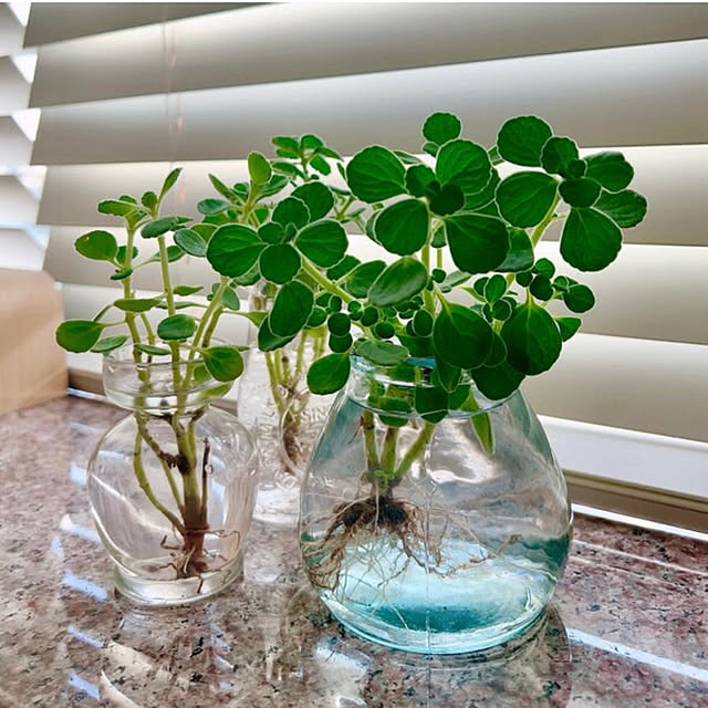 lalahさんの実例写真