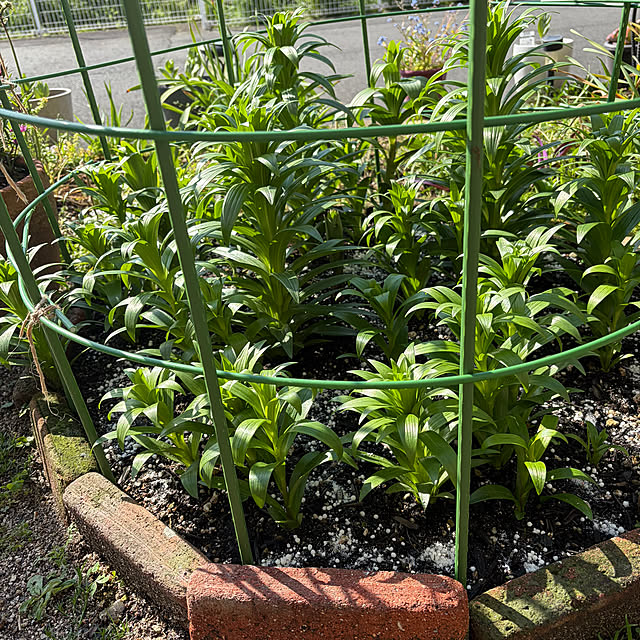 ritsukoさんの部屋