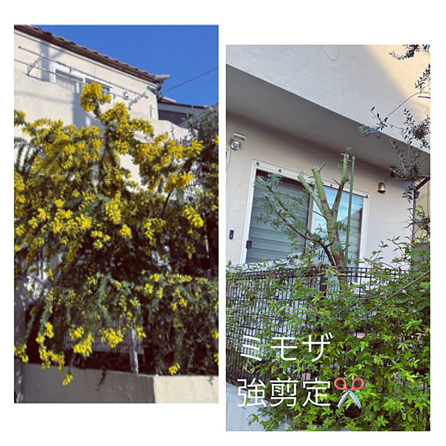 yupponさんの実例写真