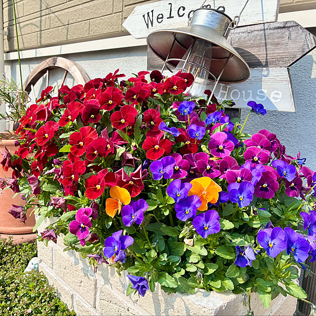 Junさんの実例写真