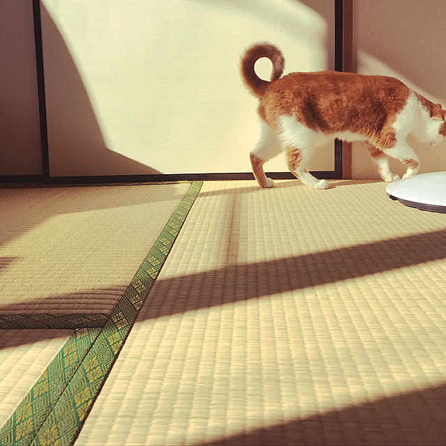 take_0nさんの実例写真