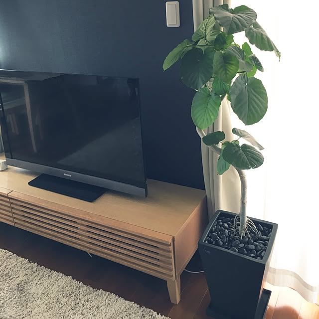aco_home15さんの実例写真