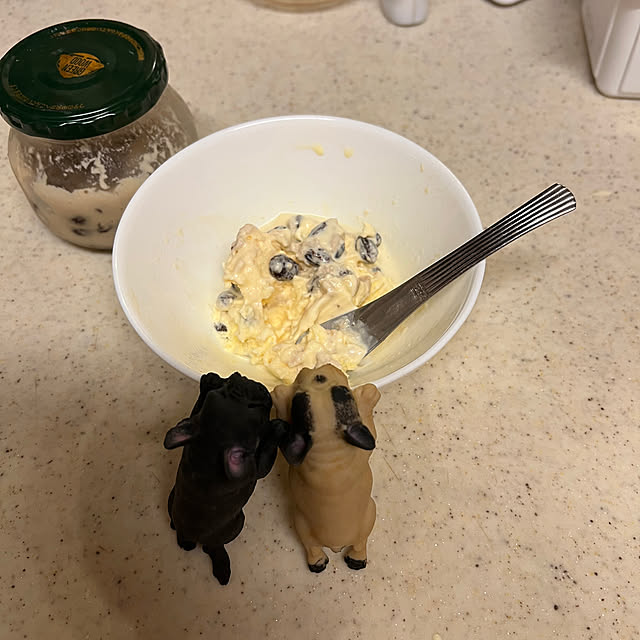 chi_gogaさんの実例写真