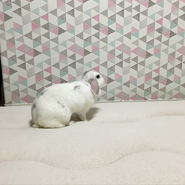 aimerさんの実例写真