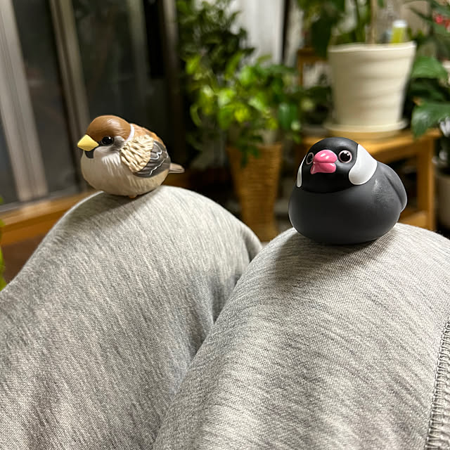 Aqettyさんの部屋
