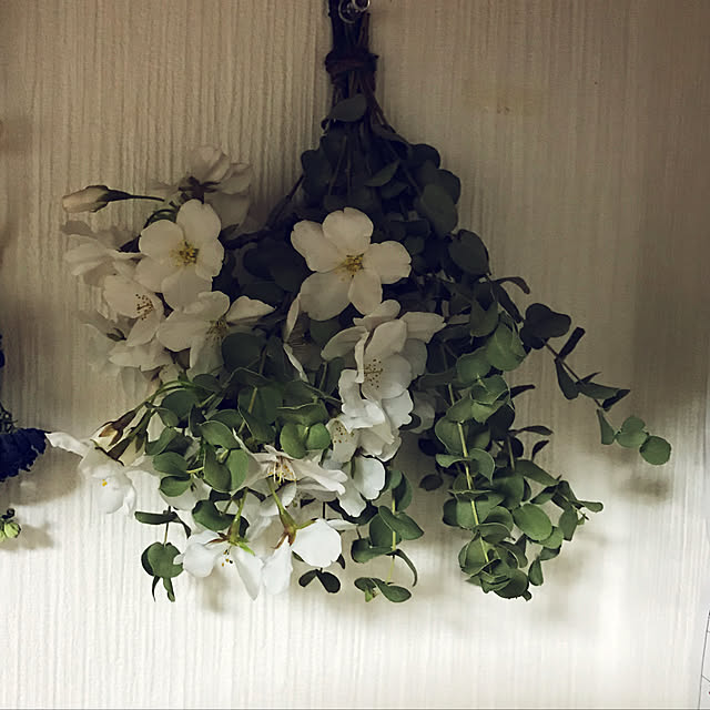 mirukuさんの実例写真