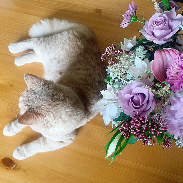 naokoさんの実例写真