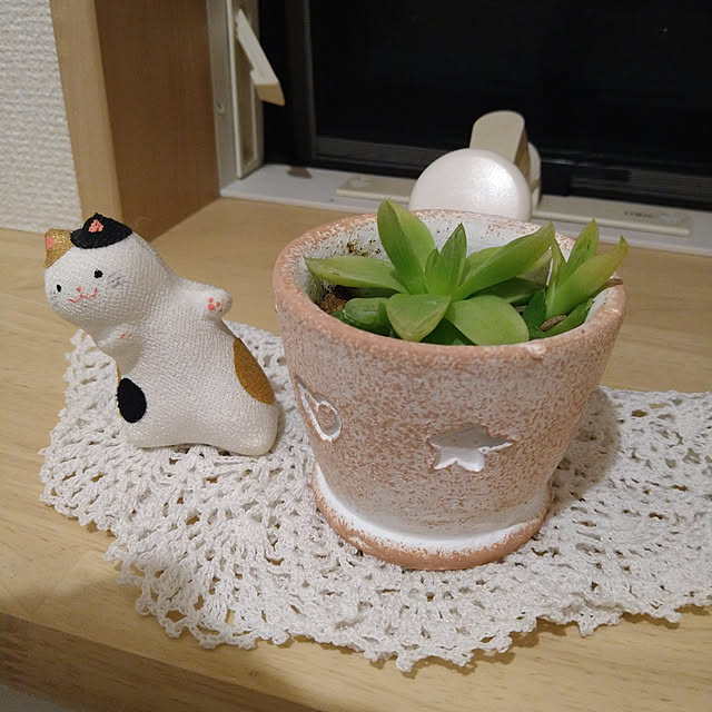 BUNBUNさんの実例写真