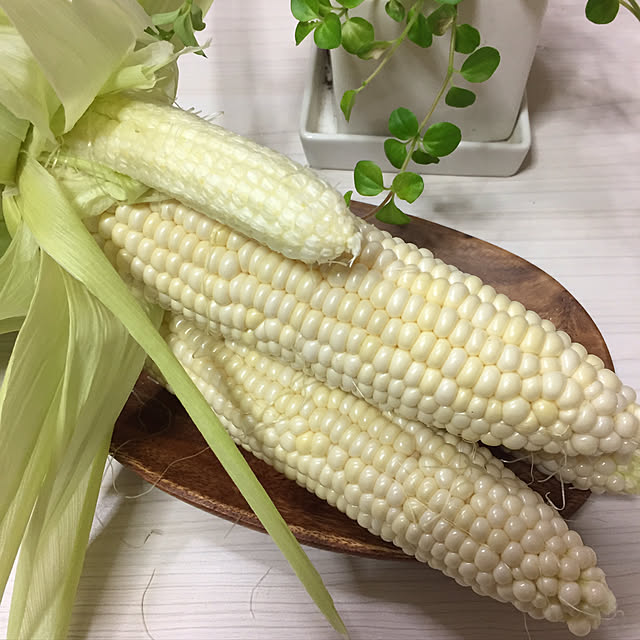 mocomocoyuuさんの実例写真