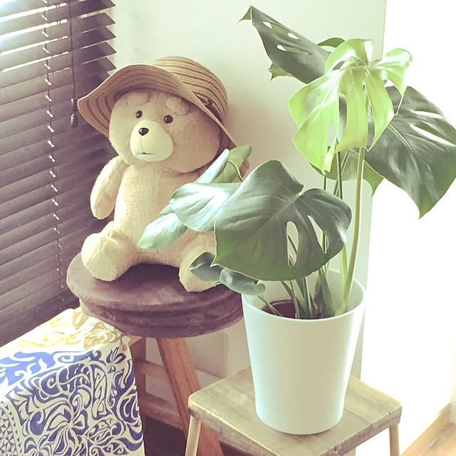 kaypさんの実例写真