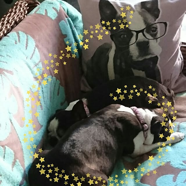 hidemomさんの実例写真