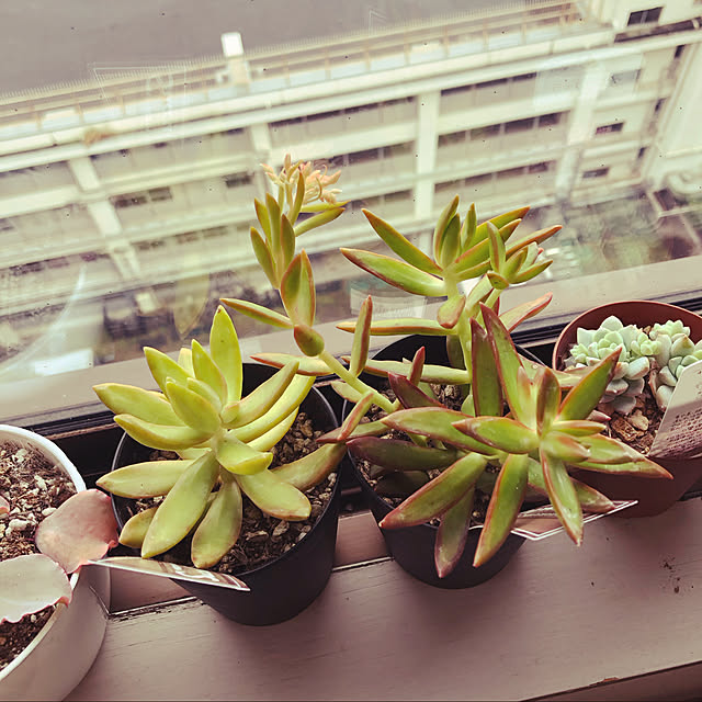 uchidaizuさんの実例写真