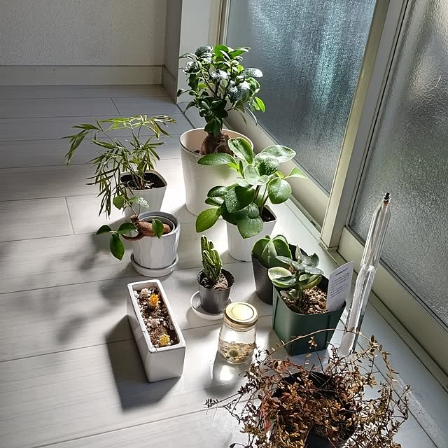 ameさんの実例写真