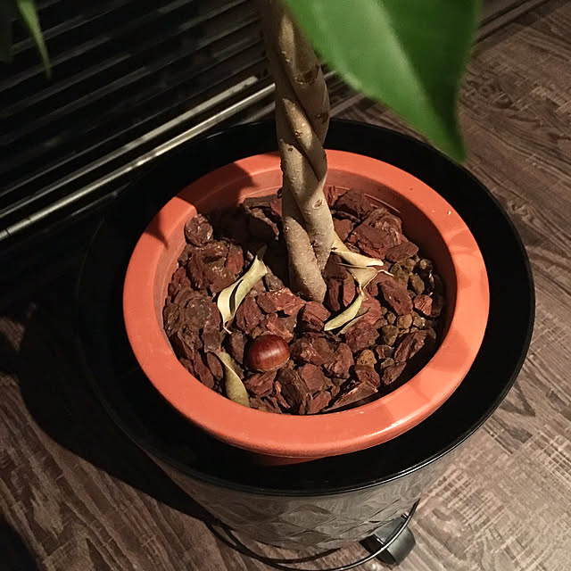 tokotokoさんの実例写真