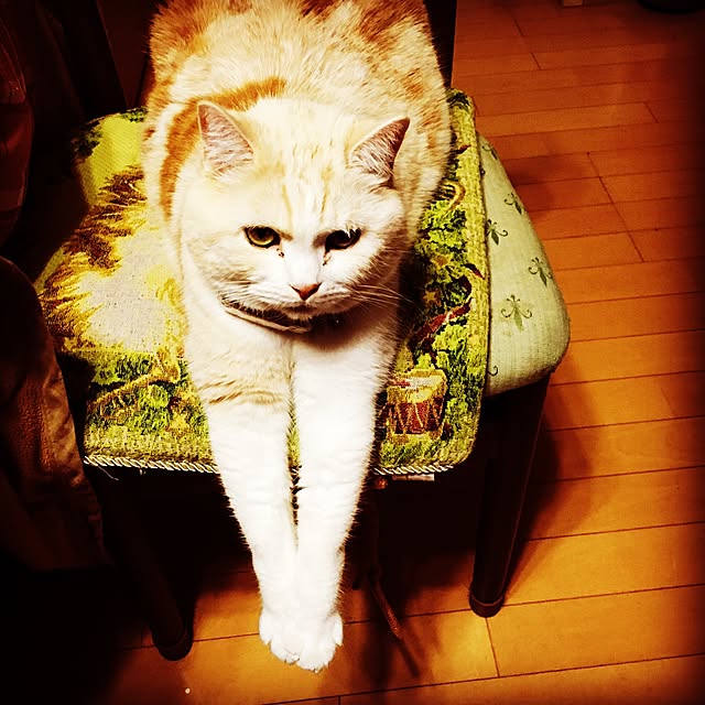Watanabejunpilさんの実例写真