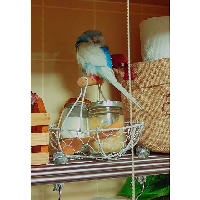 Mariさんの実例写真