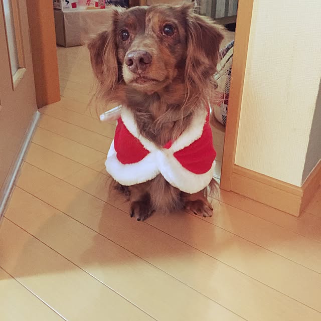 Sakikoさんの実例写真