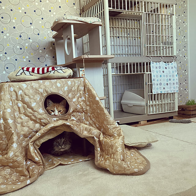 mkmkmoominさんの実例写真