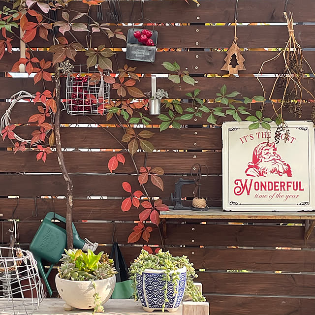 nobikoさんの実例写真