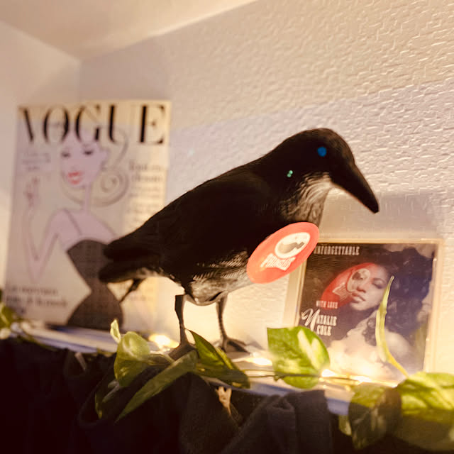 zacさんの実例写真