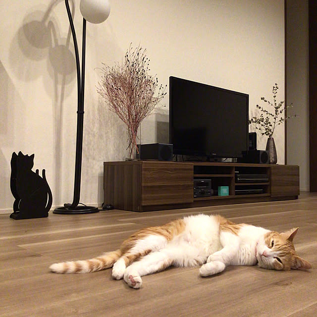 houenさんの実例写真