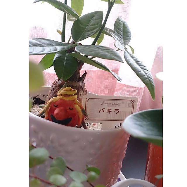 kyooonさんの実例写真